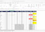 convert PDF to excel and format data professionally